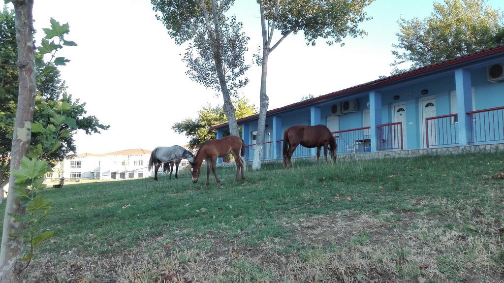 Loutra Volvis Familia Hotel מראה חיצוני תמונה